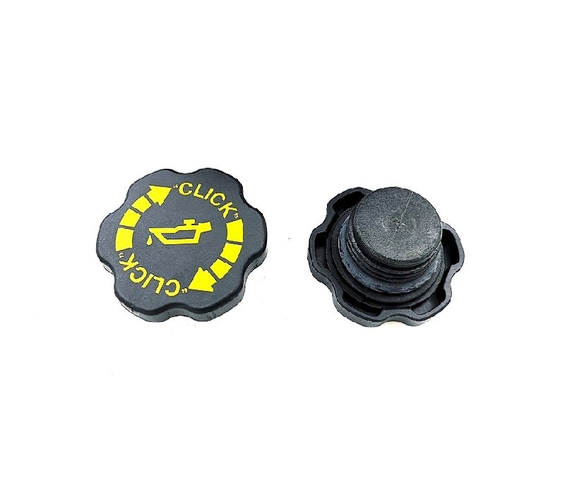 CM 29119 - OIL CAP